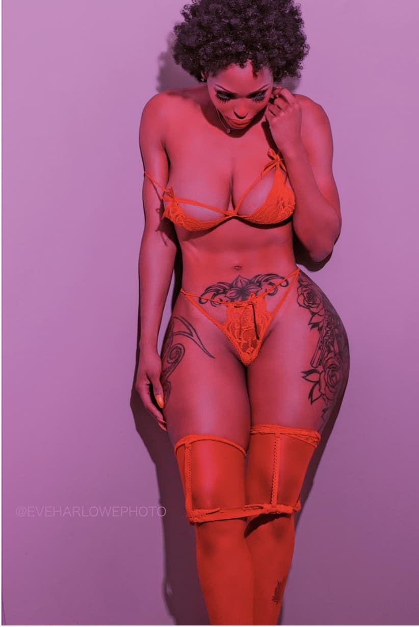 Persia dabody